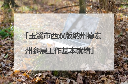 玉溪市西双版纳州德宏州参展工作基本就绪