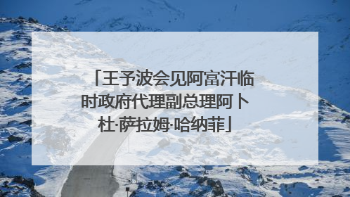 王予波会见阿富汗临时政府代理副总理阿卜杜·萨拉姆·哈纳菲