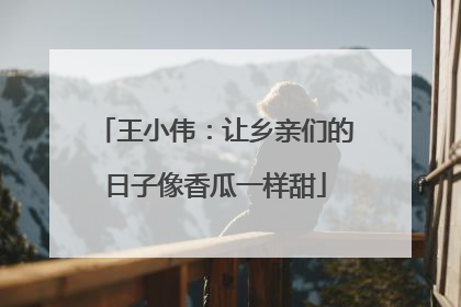 王小伟：让乡亲们的日子像香瓜一样甜