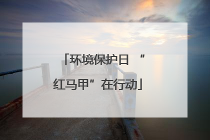 环境保护日 “红马甲”在行动