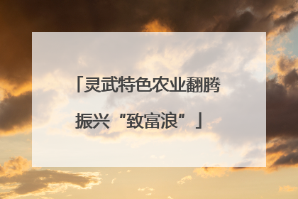 灵武特色农业翻腾振兴“致富浪”