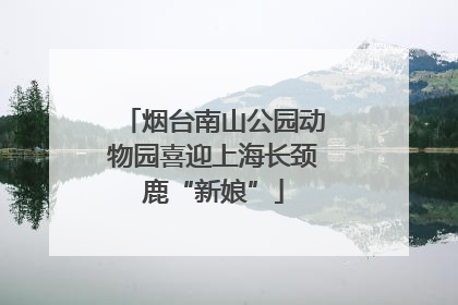 烟台南山公园动物园喜迎上海长颈鹿“新娘”