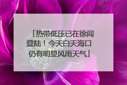 热带低压已在徐闻登陆！今天白天海口仍有明显风雨天气