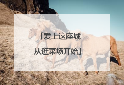爱上这座城 从逛菜场开始