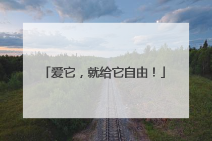 爱它，就给它自由！