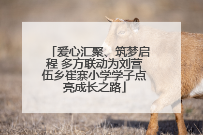 爱心汇聚、筑梦启程 多方联动为刘营伍乡崔寨小学学子点亮成长之路