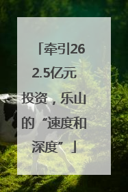 牵引262.5亿元投资，乐山的“速度和深度”
