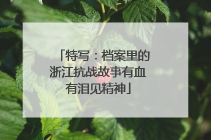 特写：档案里的浙江抗战故事有血有泪见精神