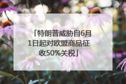 特朗普威胁自6月1日起对欧盟商品征收50%关税
