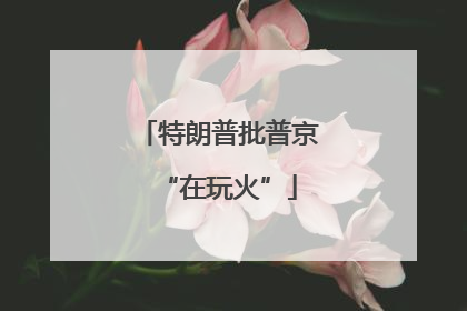 特朗普批普京“在玩火”