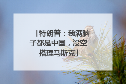 特朗普：我满脑子都是中国，没空搭理马斯克