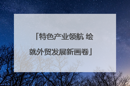 特色产业领航 绘就外贸发展新画卷