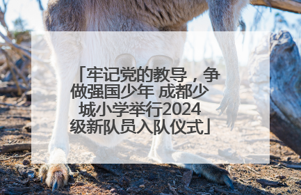 牢记党的教导，争做强国少年 成都少城小学举行2024级新队员入队仪式