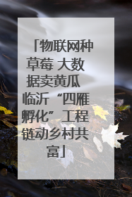 物联网种草莓 大数据卖黄瓜 临沂“四雁孵化”工程链动乡村共富