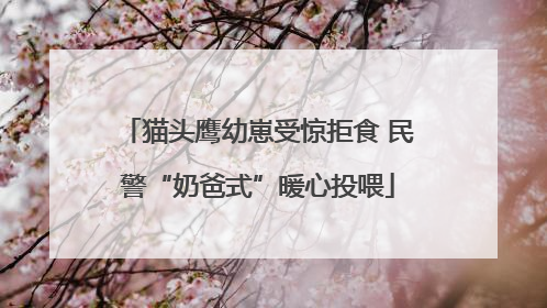 猫头鹰幼崽受惊拒食 民警“奶爸式”暖心投喂