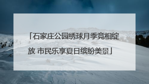 石家庄公园绣球月季竞相绽放 市民乐享夏日缤纷美景