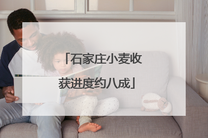 石家庄小麦收获进度约八成