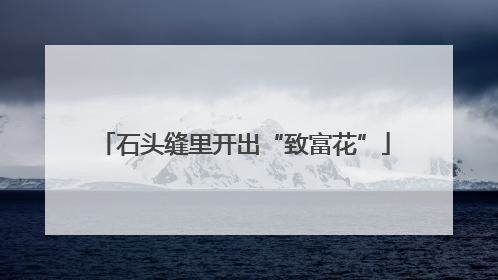 石头缝里开出“致富花”