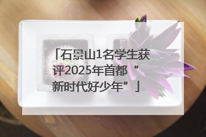 石景山1名学生获评2025年首都“新时代好少年”