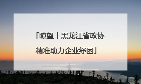 瞭望丨黑龙江省政协精准助力企业纾困