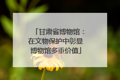 甘肃省博物馆：在文物保护中彰显博物馆多重价值