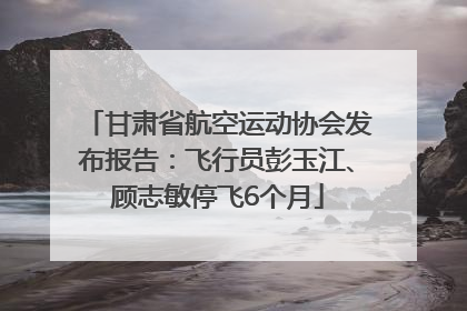 甘肃省航空运动协会发布报告：飞行员彭玉江、顾志敏停飞6个月