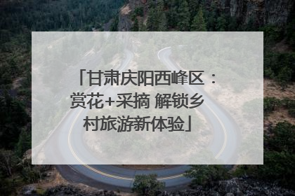 甘肃庆阳西峰区：赏花+采摘 解锁乡村旅游新体验