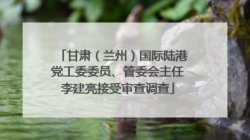 甘肃（兰州）国际陆港党工委委员、管委会主任李建亮接受审查调查