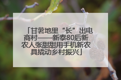 甘薯地里“长”出电商村——新泰80后新农人张甜甜用手机新农具撬动乡村振兴
