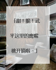 甜！脆！武平这里的鹰嘴桃开摘啦～