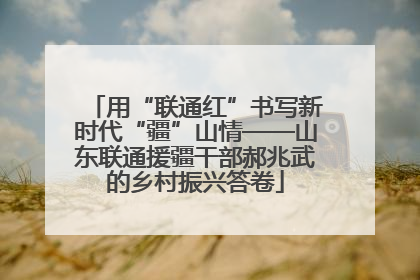 用“联通红”书写新时代“疆”山情——山东联通援疆干部郝兆武的乡村振兴答卷