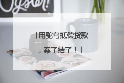 用鸵鸟抵偿货款，案子结了！