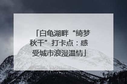 白龟湖畔“绮梦秋千”打卡点：感受城市浪漫温情
