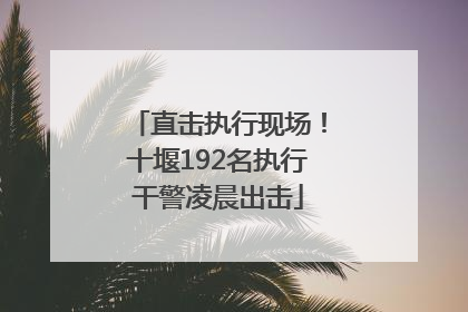 直击执行现场！十堰192名执行干警凌晨出击