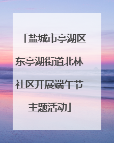 盐城市亭湖区东亭湖街道北林社区开展端午节主题活动
