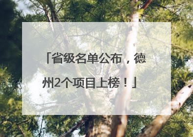 省级名单公布，德州2个项目上榜！