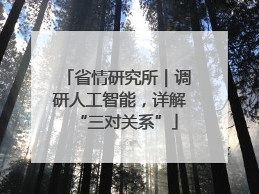 省情研究所｜调研人工智能，详解“三对关系”