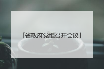 省政府党组召开会议