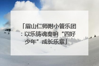 眉山仁师附小管乐团：以乐铸魂奏响“四好少年”成长乐章