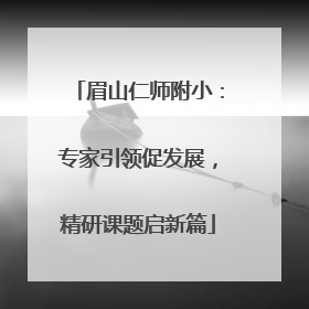 眉山仁师附小：专家引领促发展，精研课题启新篇