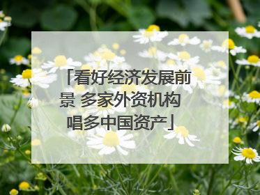 看好经济发展前景 多家外资机构唱多中国资产