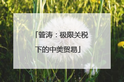管涛：极限关税下的中美贸易