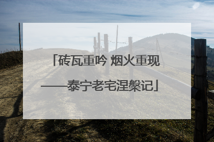 砖瓦重吟 烟火重现——泰宁老宅涅槃记