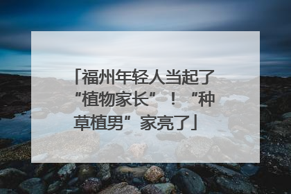 福州年轻人当起了“植物家长”！“种草植男”家亮了