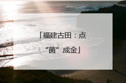 福建古田：点“菌”成金