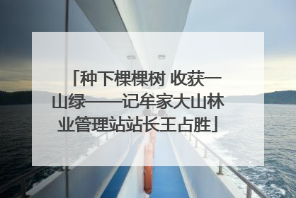 种下棵棵树 收获一山绿——记牟家大山林业管理站站长王占胜