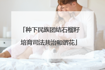 种下民族团结石榴籽 培育司法共治和谐花