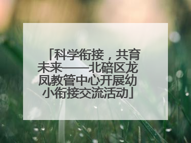 科学衔接，共育未来——北碚区龙凤教管中心开展幼小衔接交流活动