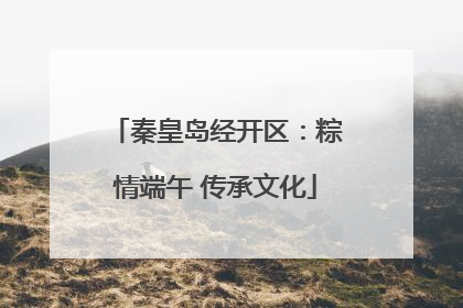 秦皇岛经开区：粽情端午 传承文化