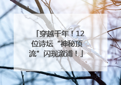 穿越千年！12 位诗坛“神秘顶流”闪现溆浦！